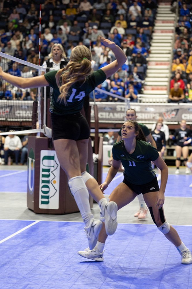 %_tempFileName1M6A3663%