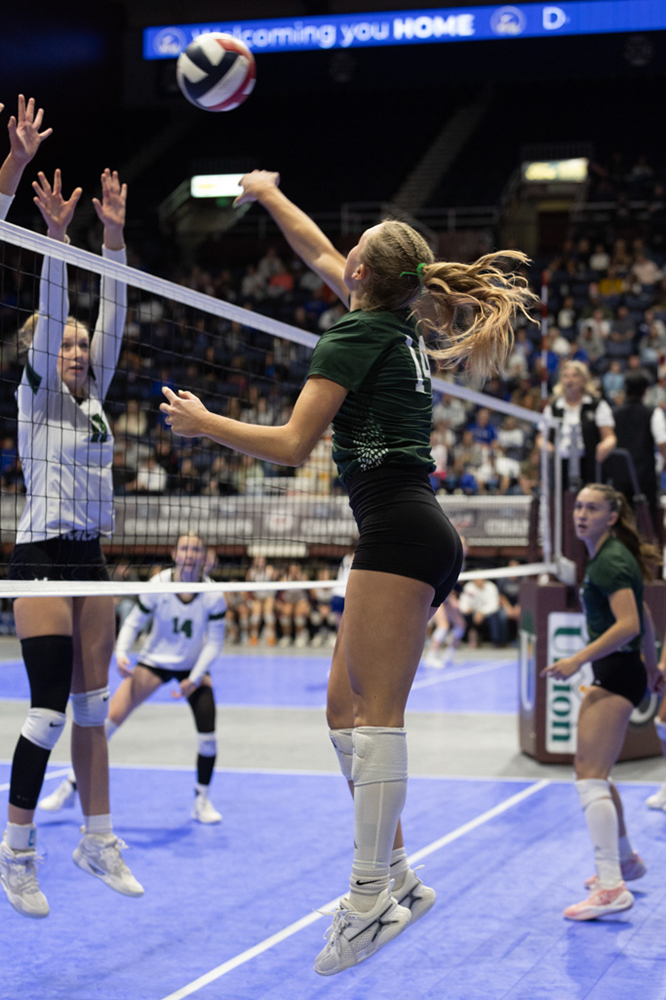 %_tempFileName1M6A3681%