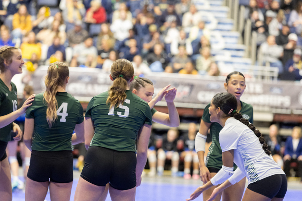 %_tempFileName1M6A3783%