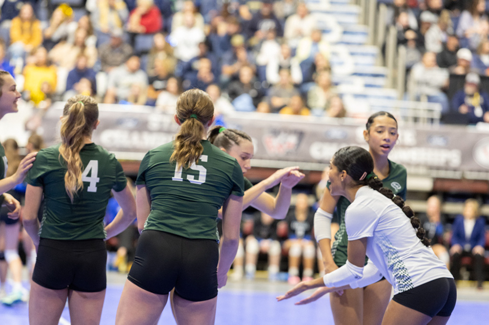 %_tempFileName1M6A3784%