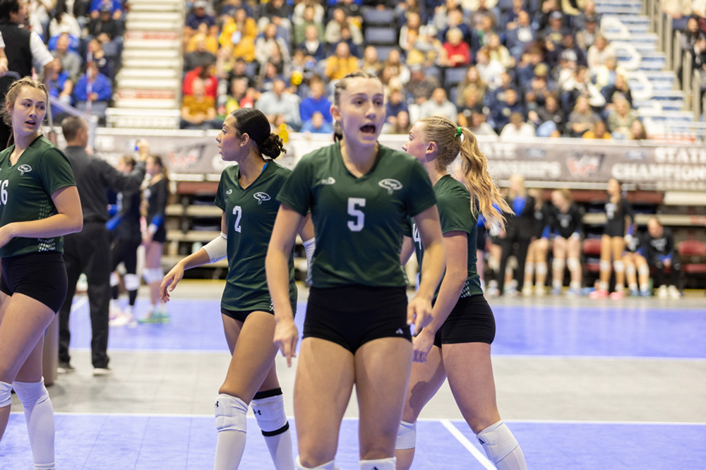 %_tempFileName1M6A3786%