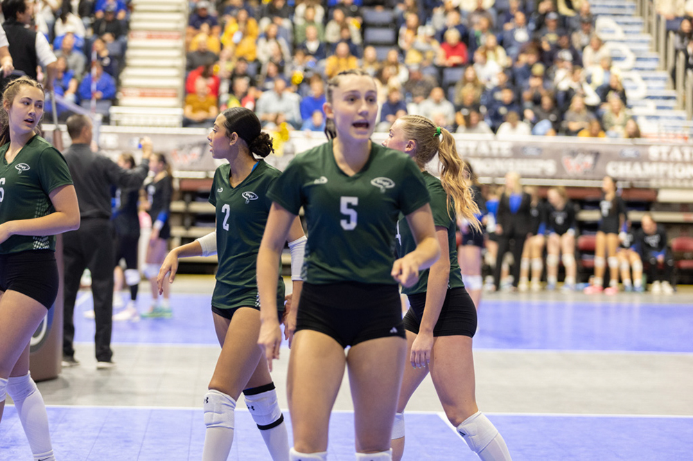 %_tempFileName1M6A3787%