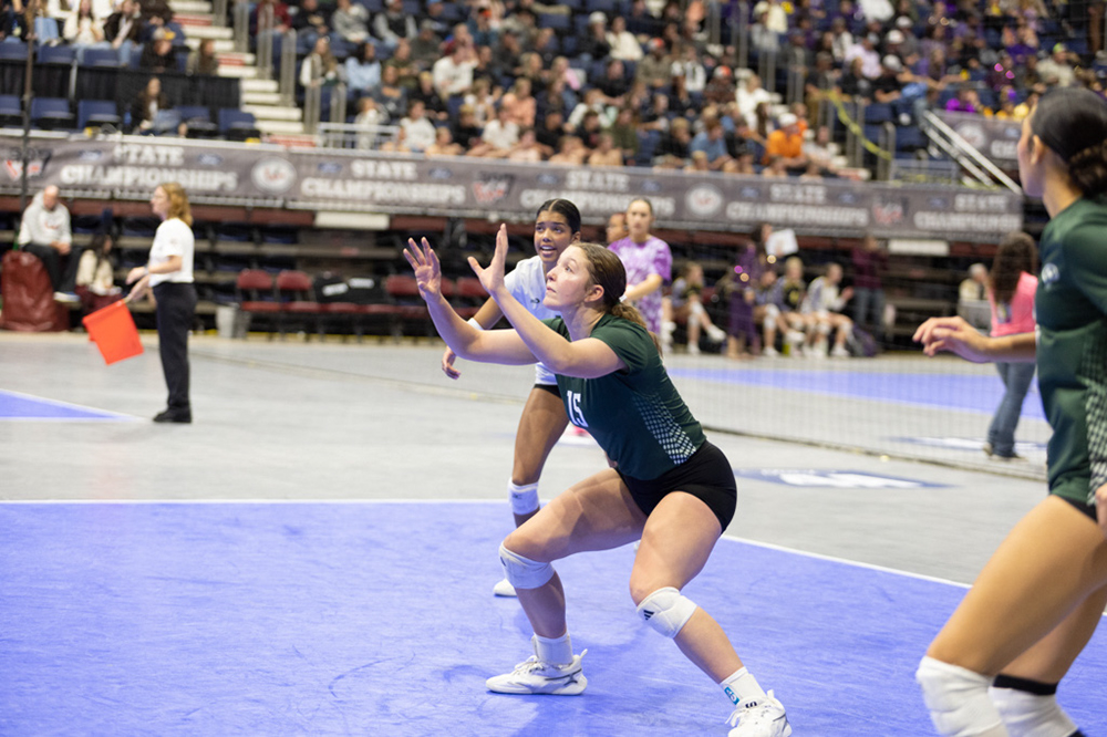 %_tempFileName1M6A3803%