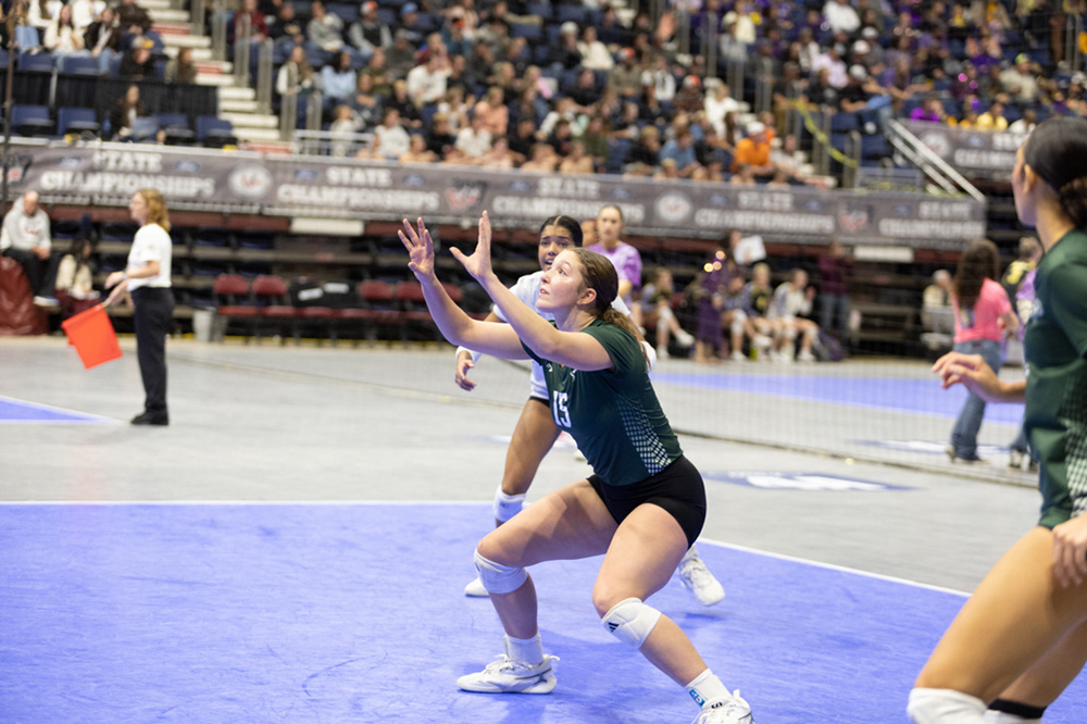 %_tempFileName1M6A3804%