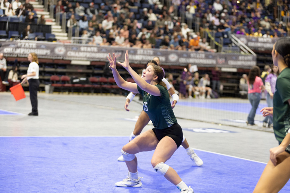 %_tempFileName1M6A3805%