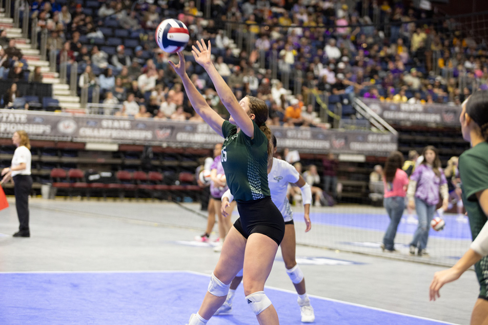 %_tempFileName1M6A3808%