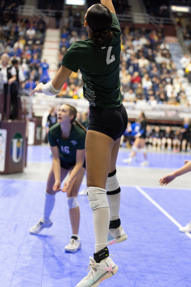 %_tempFileName1M6A3815%