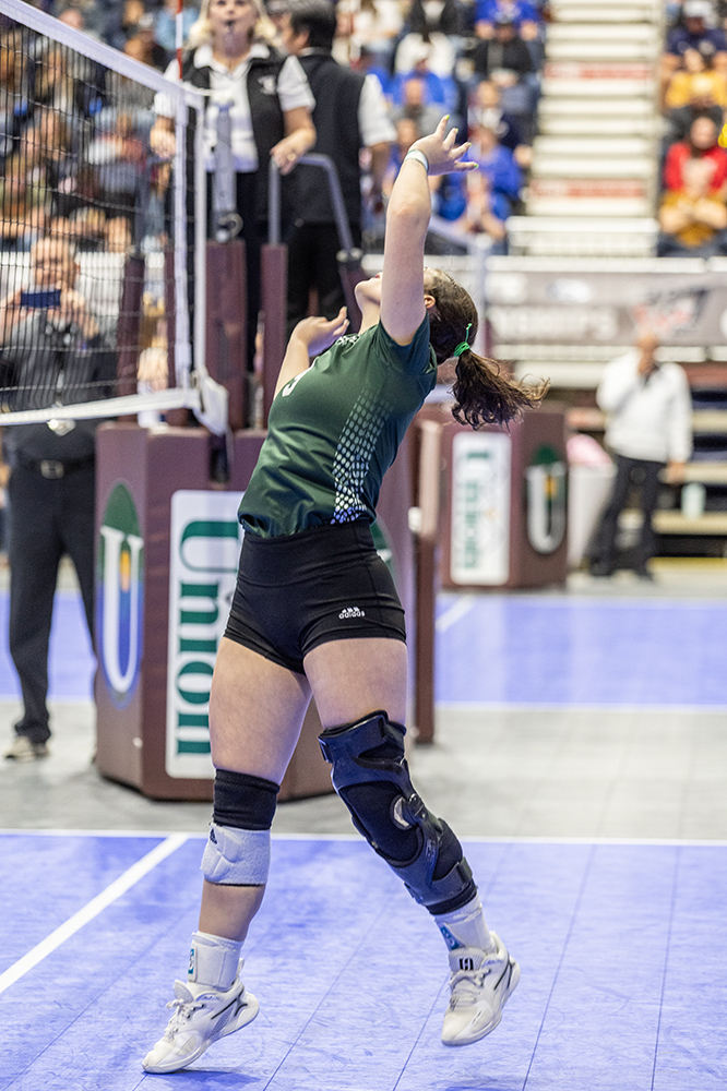 %_tempFileName1M6A3884%