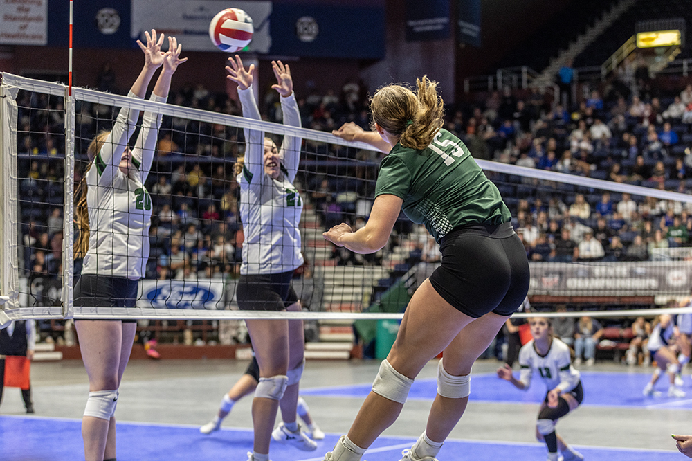 %_tempFileName1M6A3910%