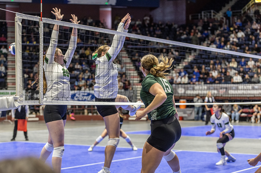 %_tempFileName1M6A3913%