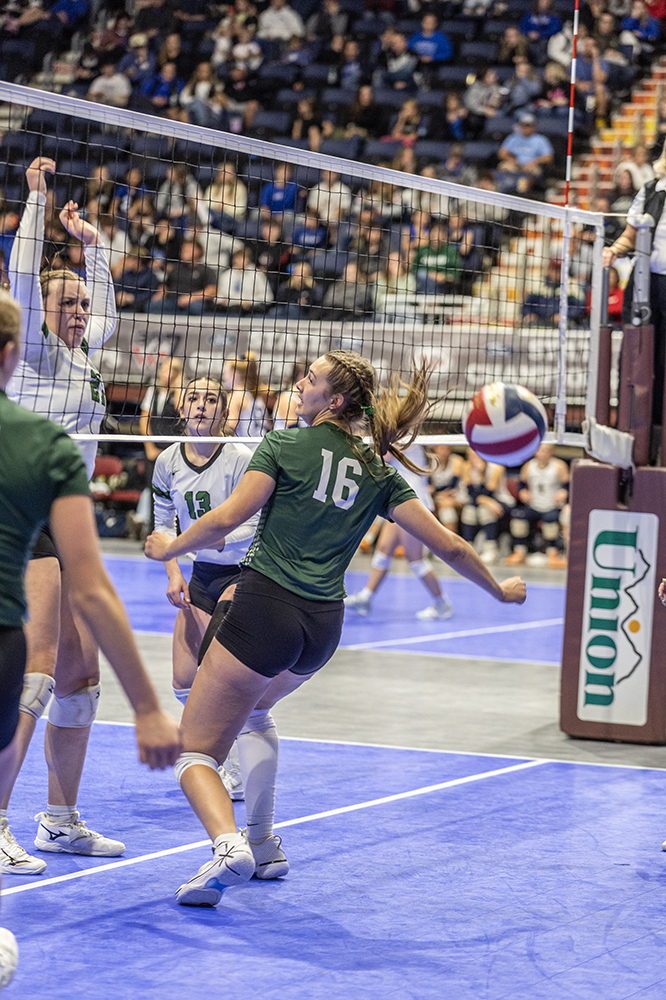 %_tempFileName1M6A3915%