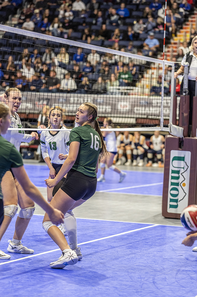 %_tempFileName1M6A3917%