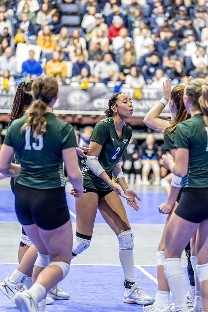 %_tempFileName1M6A3933%