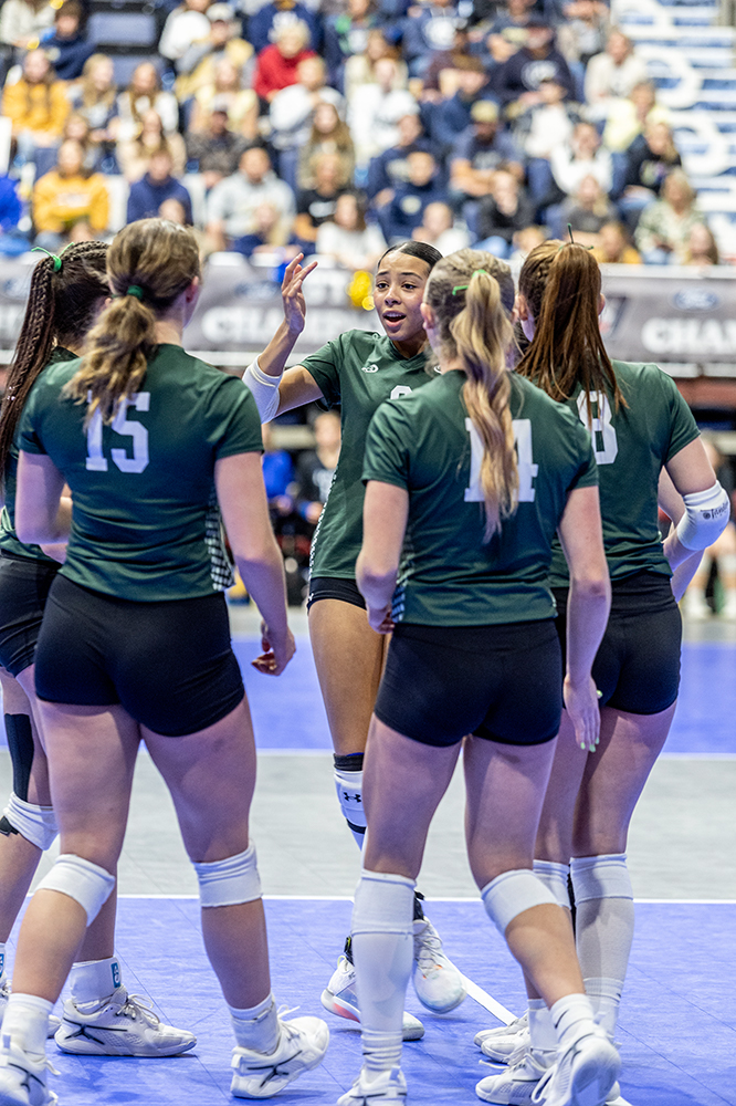 %_tempFileName1M6A3938%