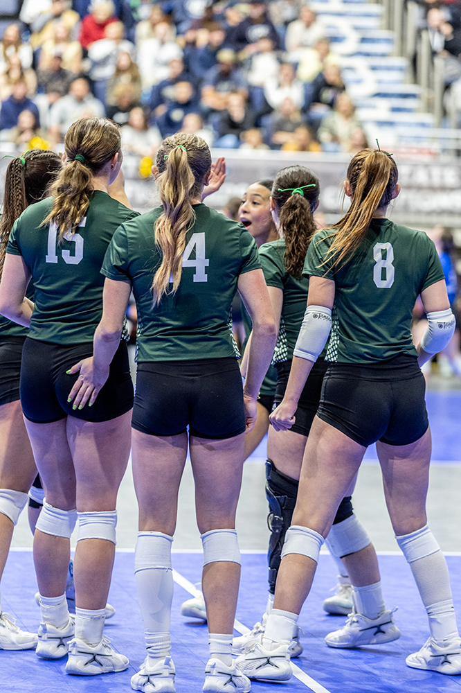 %_tempFileName1M6A3946%