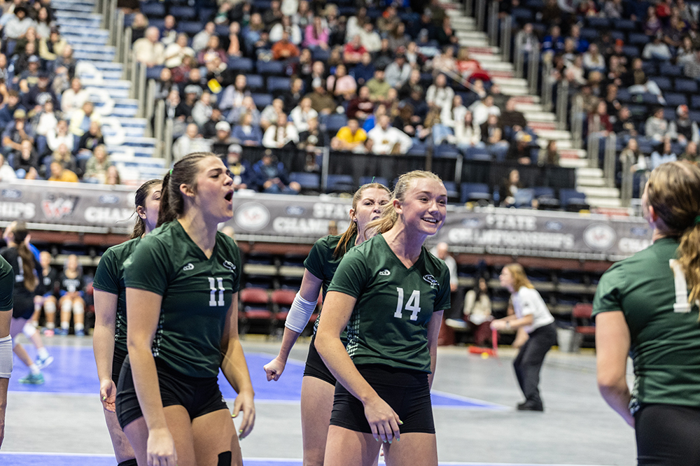 %_tempFileName1M6A3981%