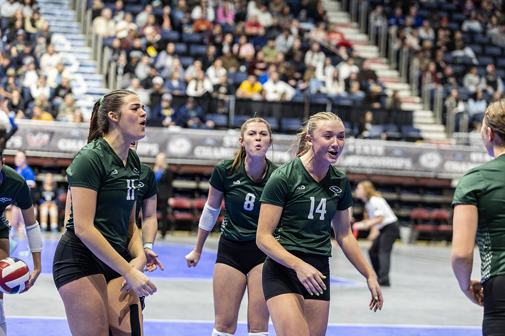 %_tempFileName1M6A3984%