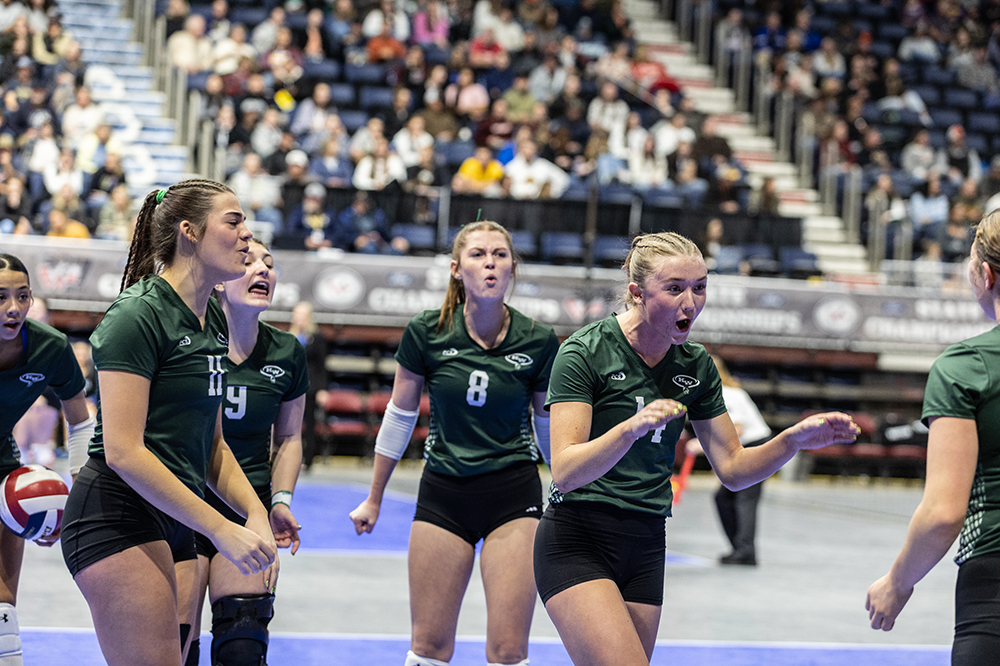 %_tempFileName1M6A3986%