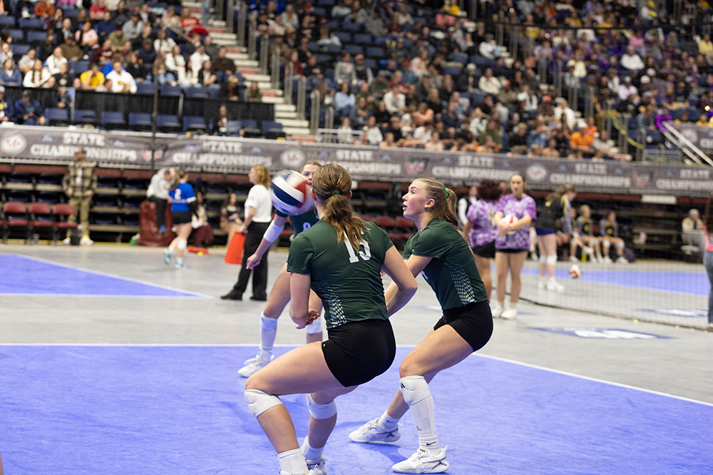 %_tempFileName1M6A3990%