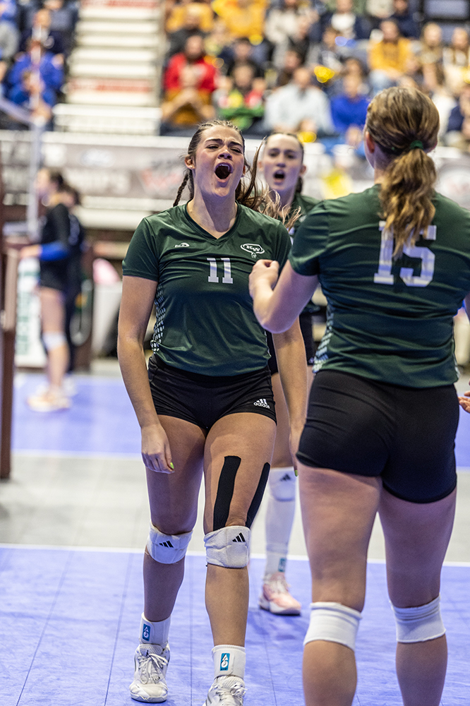 %_tempFileName1M6A4035%