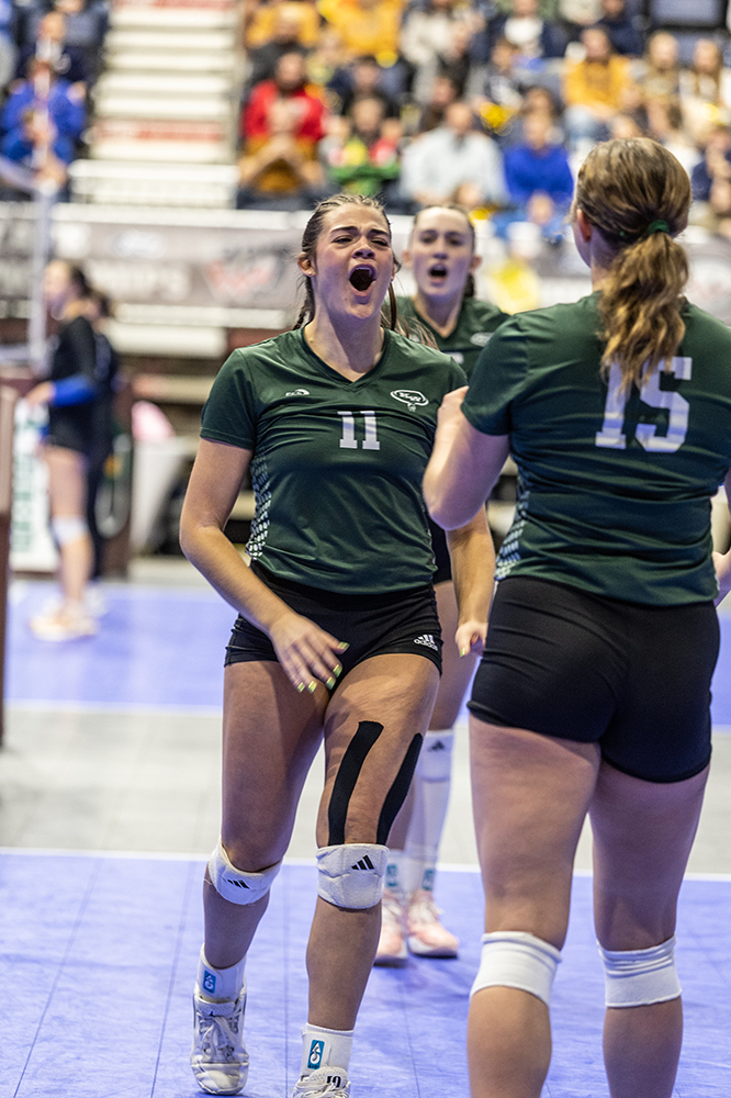 %_tempFileName1M6A4036%