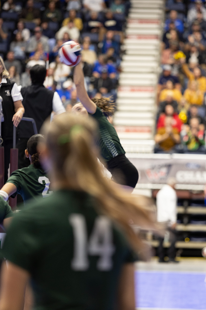 %_tempFileName1M6A4075%