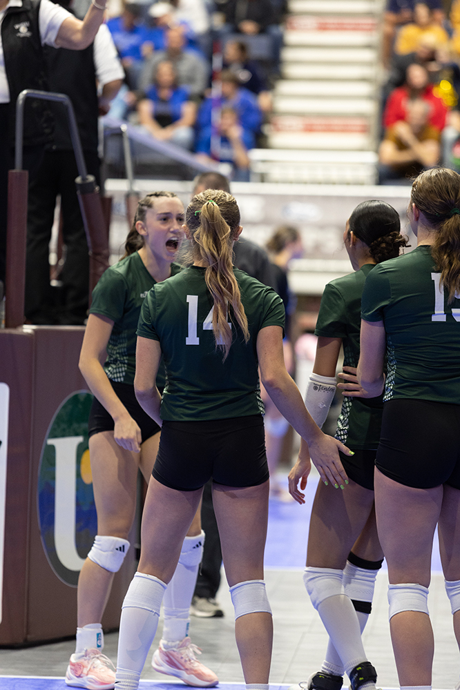 %_tempFileName1M6A4133%