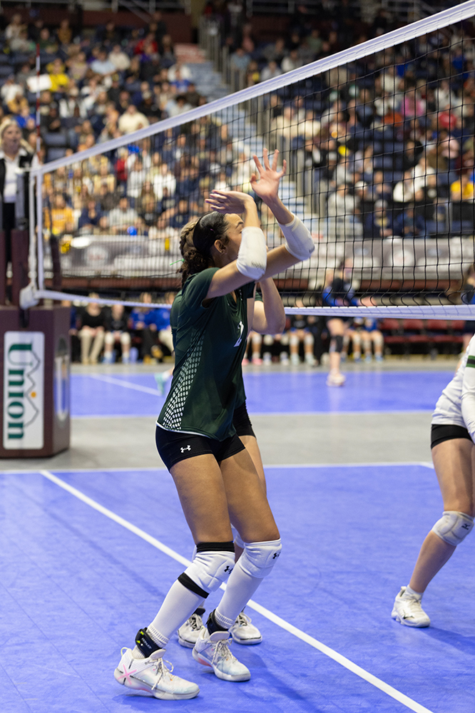 %_tempFileName1M6A4135%