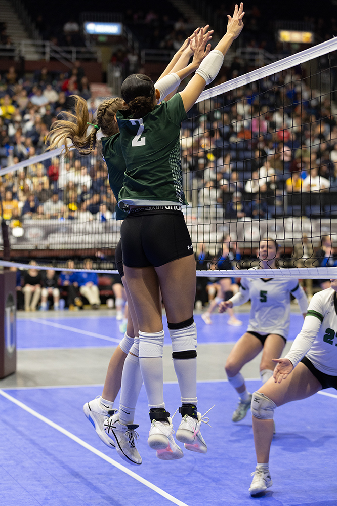 %_tempFileName1M6A4142%