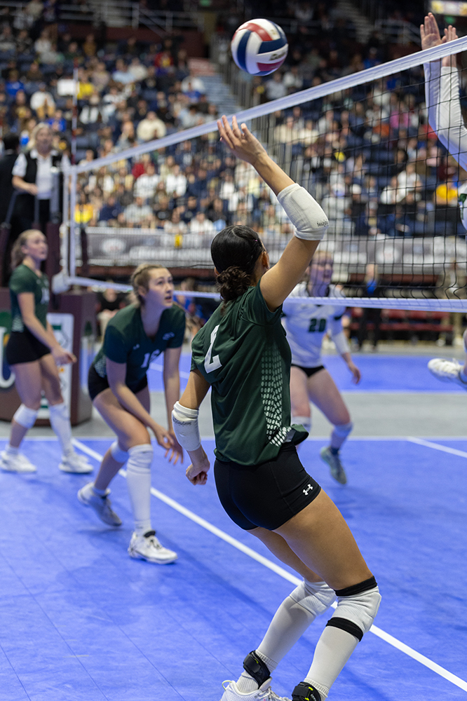 %_tempFileName1M6A4184%