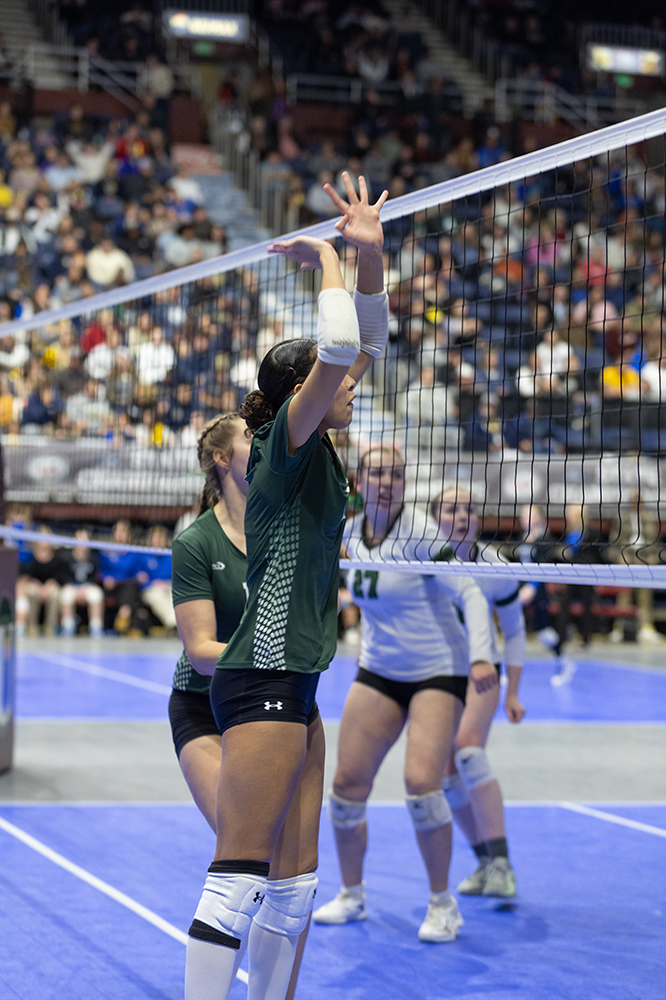 %_tempFileName1M6A4191%