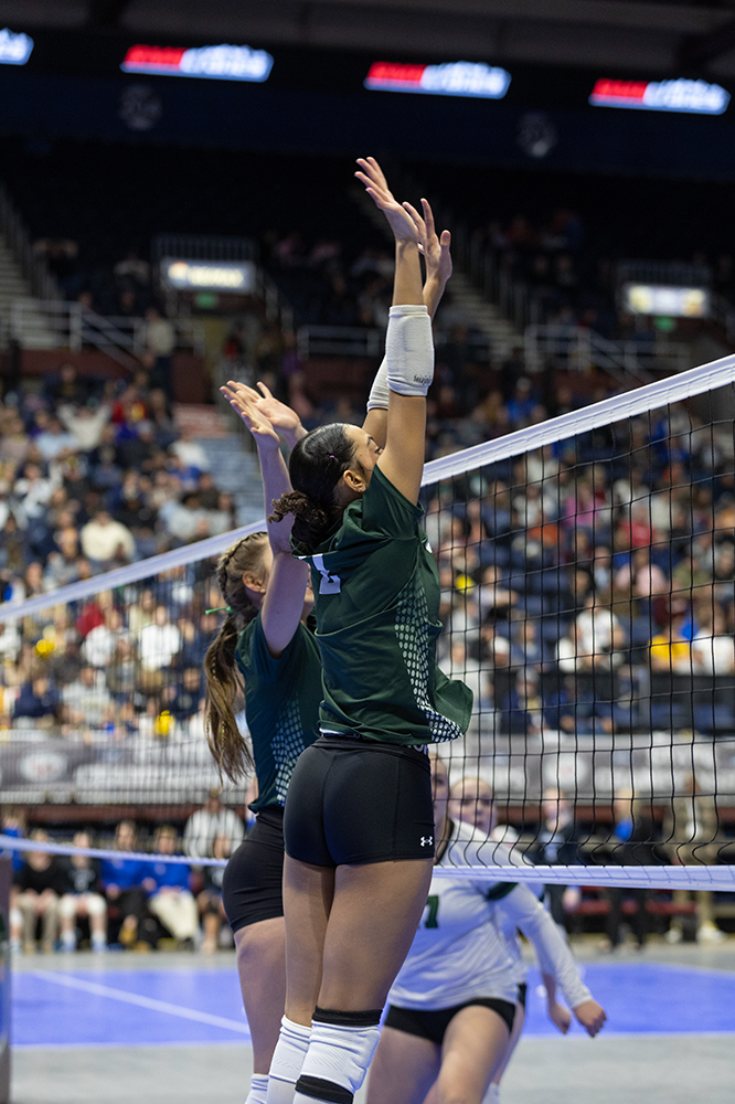 %_tempFileName1M6A4194%