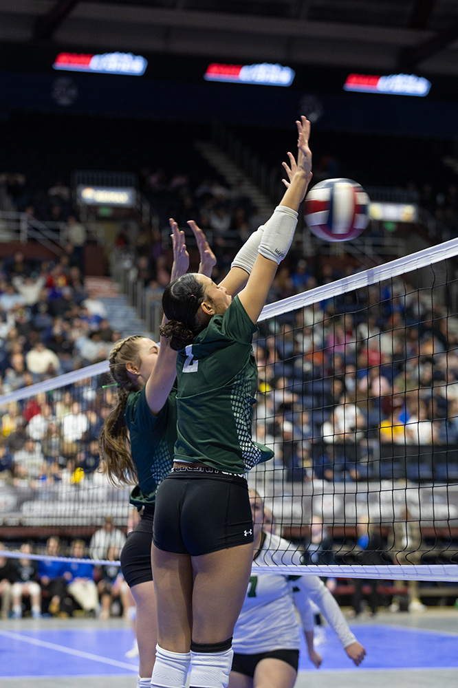 %_tempFileName1M6A4195%