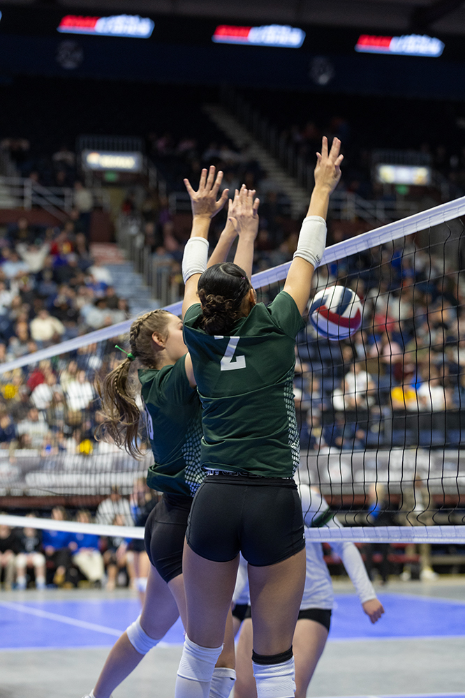 %_tempFileName1M6A4198%