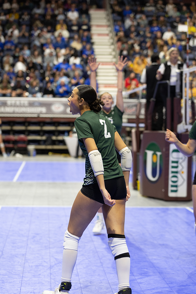 %_tempFileName1M6A4201%