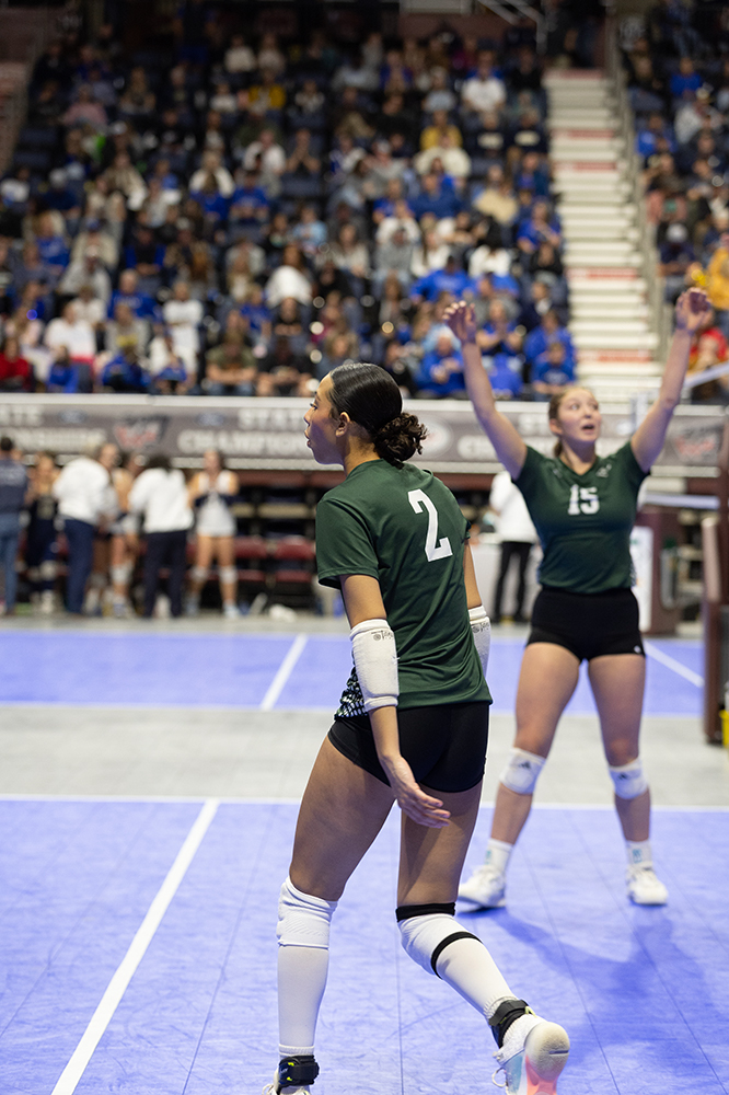 %_tempFileName1M6A4205%