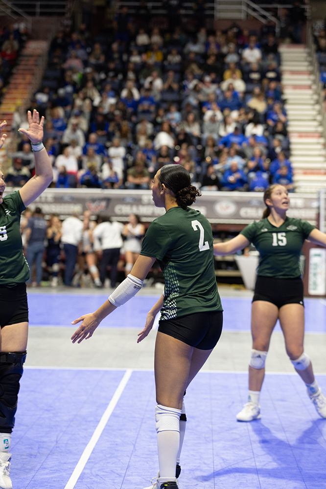 %_tempFileName1M6A4208%