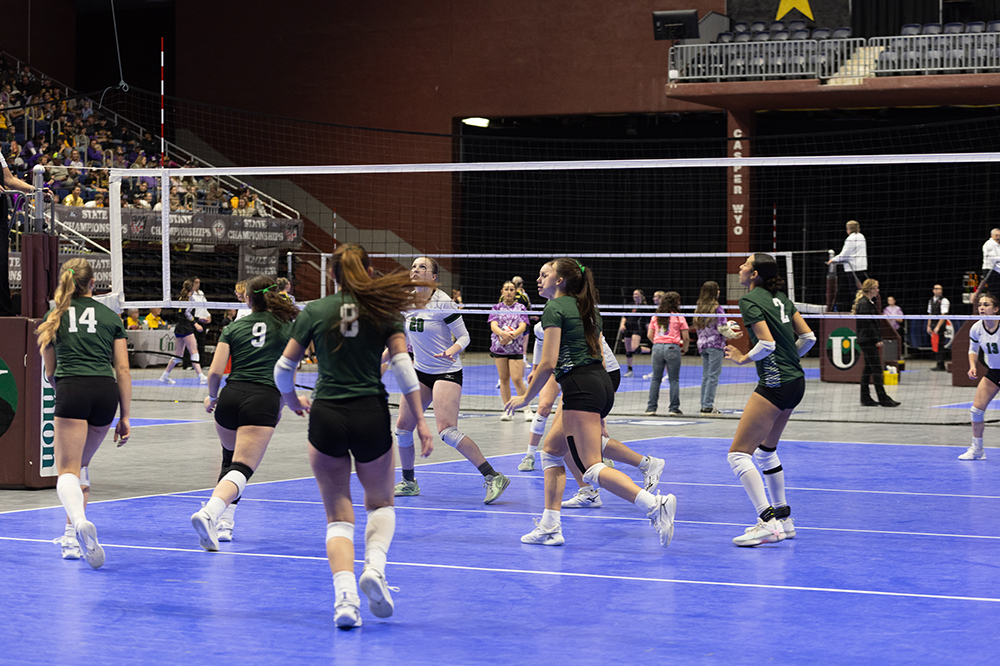 %_tempFileName1M6A4236%