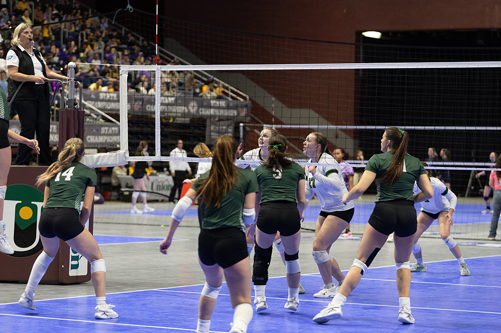 %_tempFileName1M6A4239%