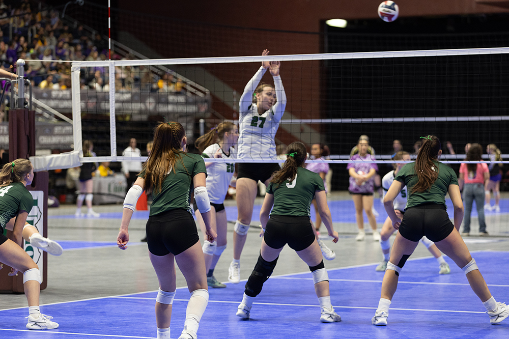 %_tempFileName1M6A4246%