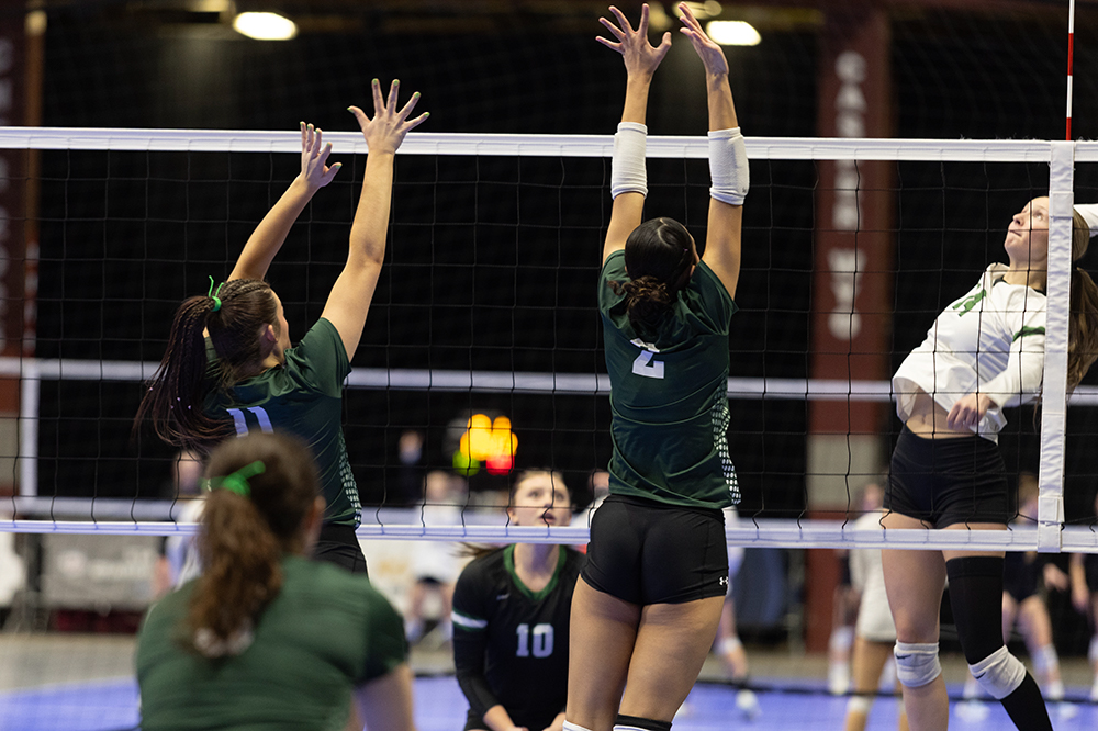 %_tempFileName1M6A4273%