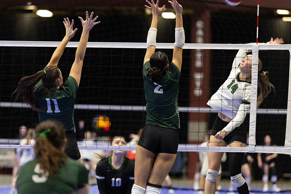 %_tempFileName1M6A4274%