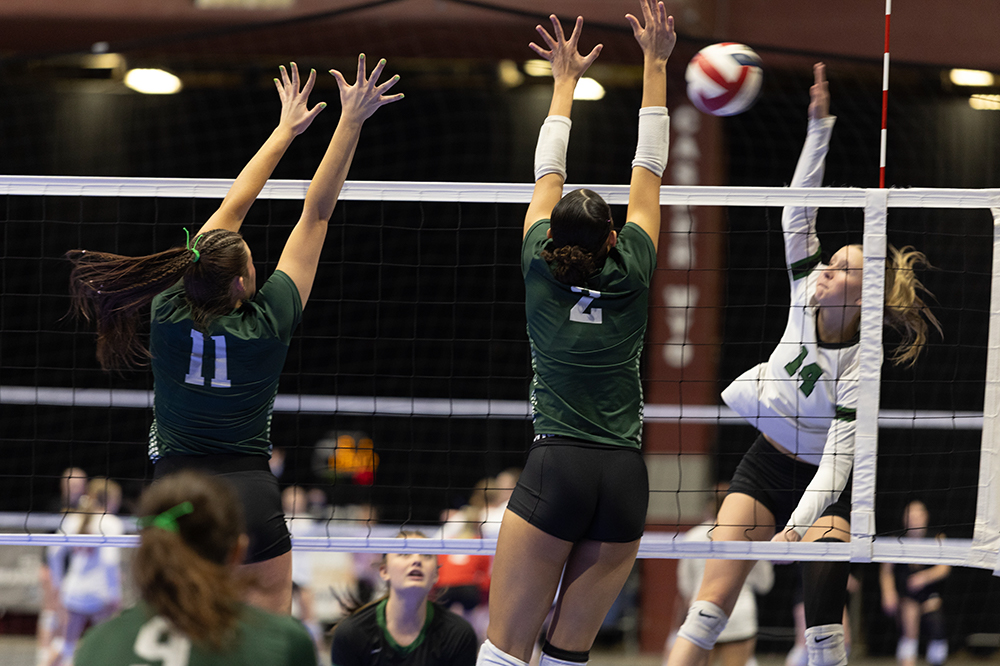 %_tempFileName1M6A4275%