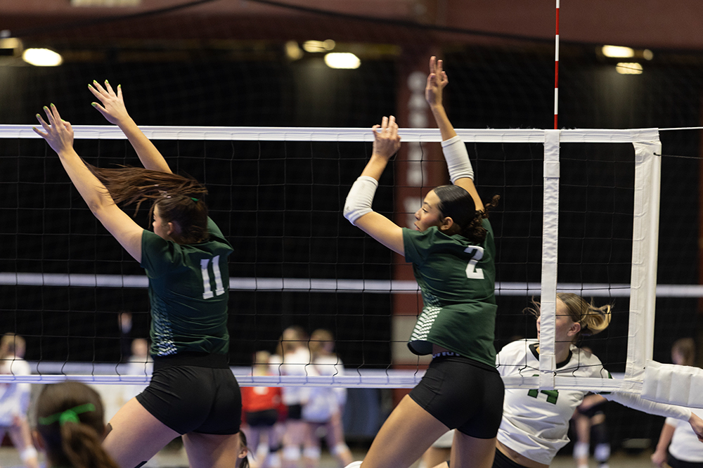 %_tempFileName1M6A4279%