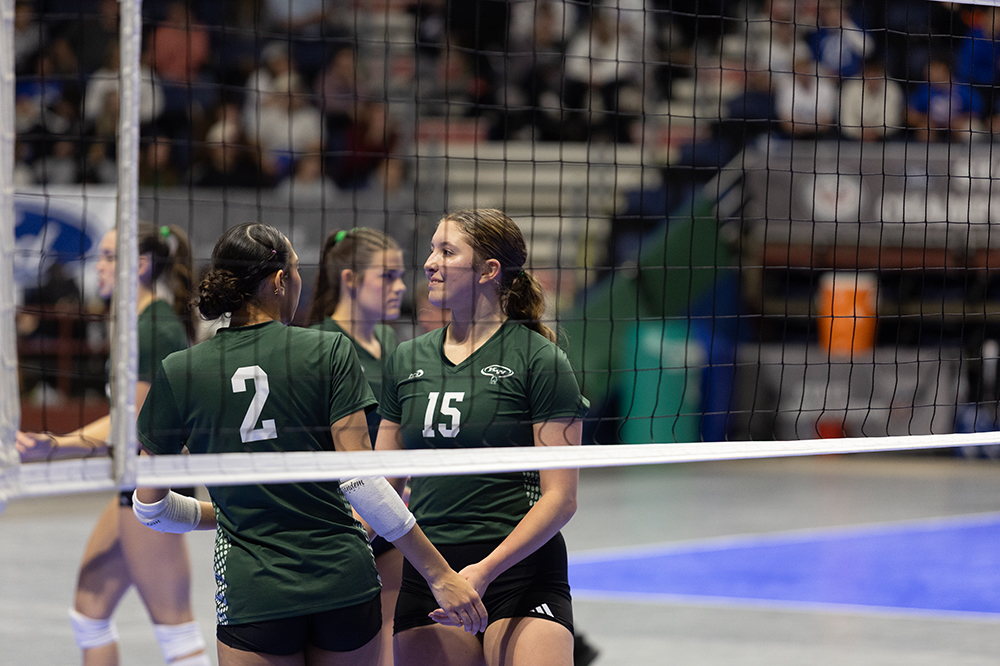 %_tempFileName1M6A4280%