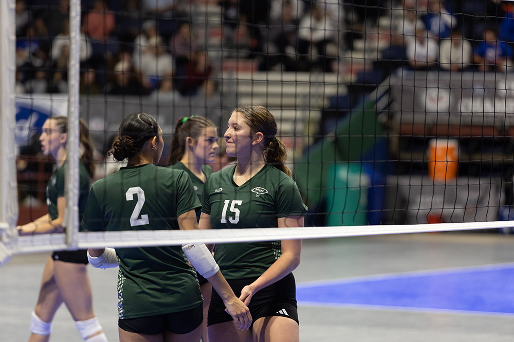 %_tempFileName1M6A4281%