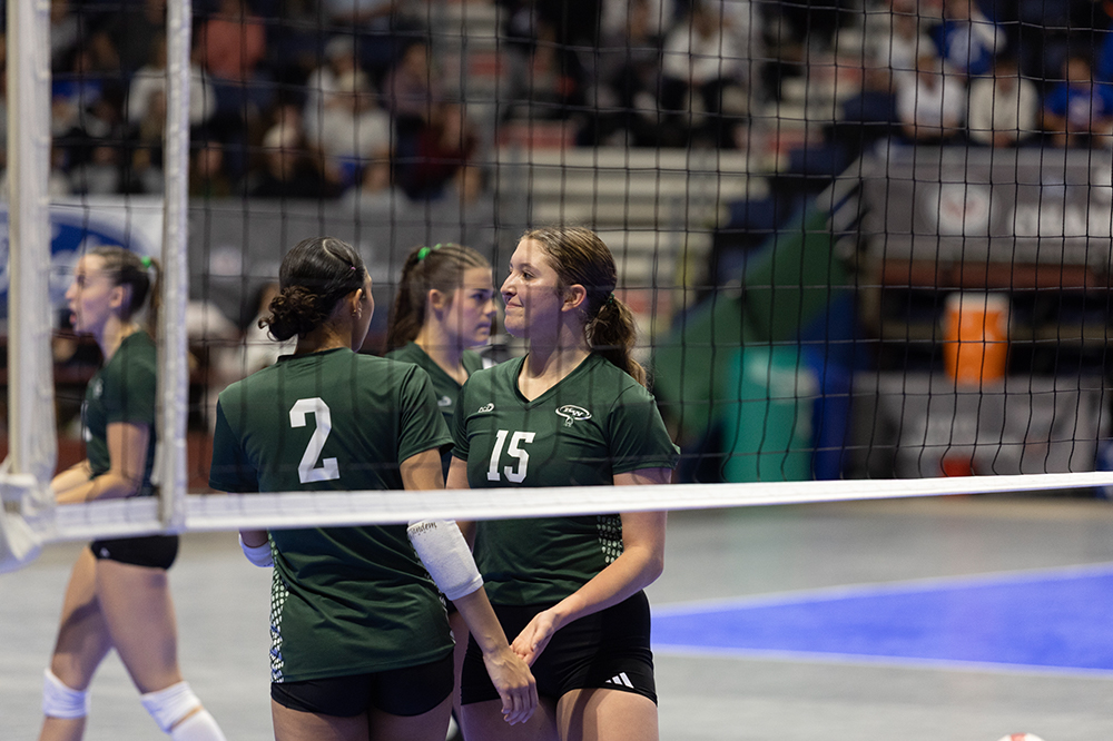 %_tempFileName1M6A4282%