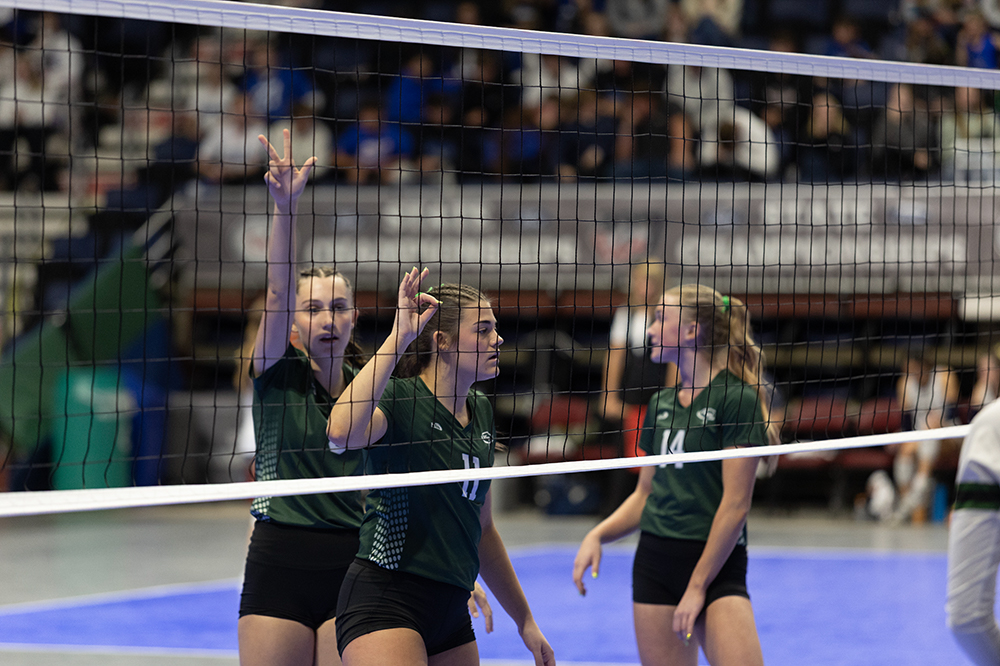 %_tempFileName1M6A4285%