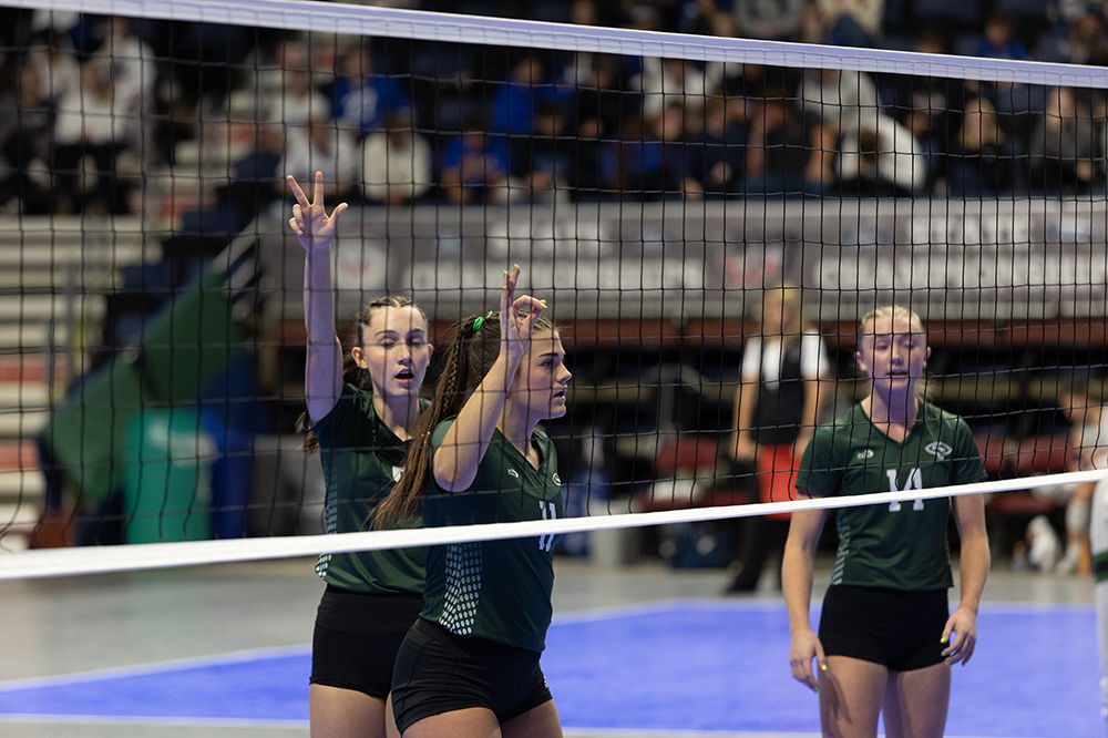 %_tempFileName1M6A4288%