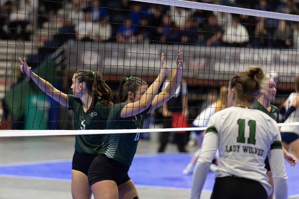 %_tempFileName1M6A4290%